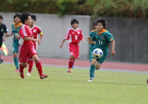 DPP_38876